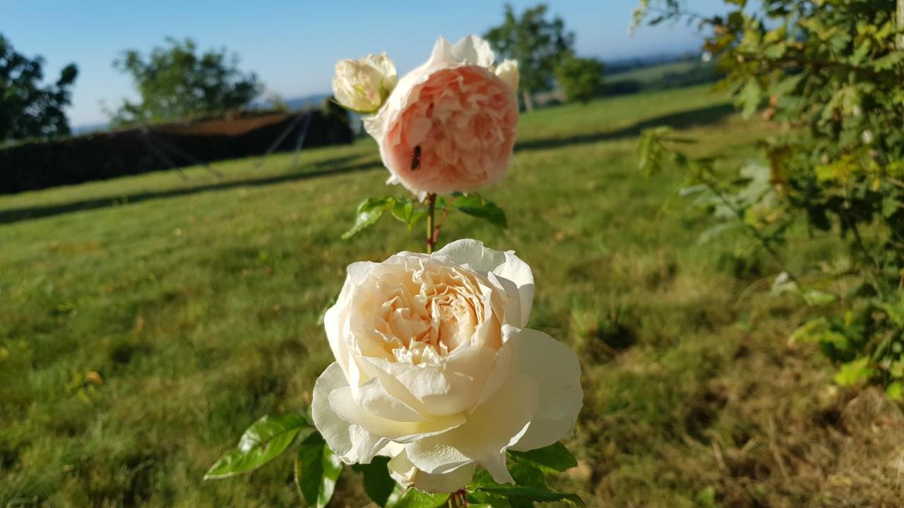 Belle Visnonia Meuble De Caractere Sud Morbihan Béganne Kültér fotó